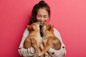 Leia mais sobre o artigo Tráfego Pago para Pet Shop: Estratégia Essencial para Aquisição de Clientes e Aumento de Vendas.